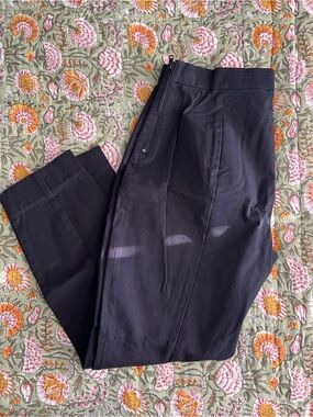 Everlane Pixie Pants